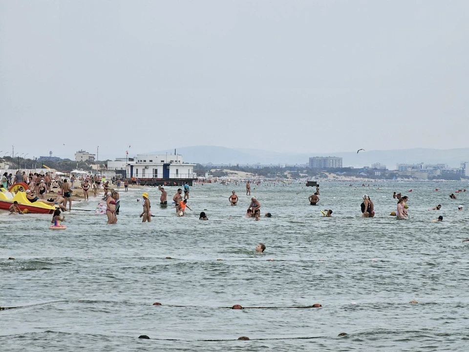 На пляжах Анапы плавает много камки. Фото: t.me/MoreOz