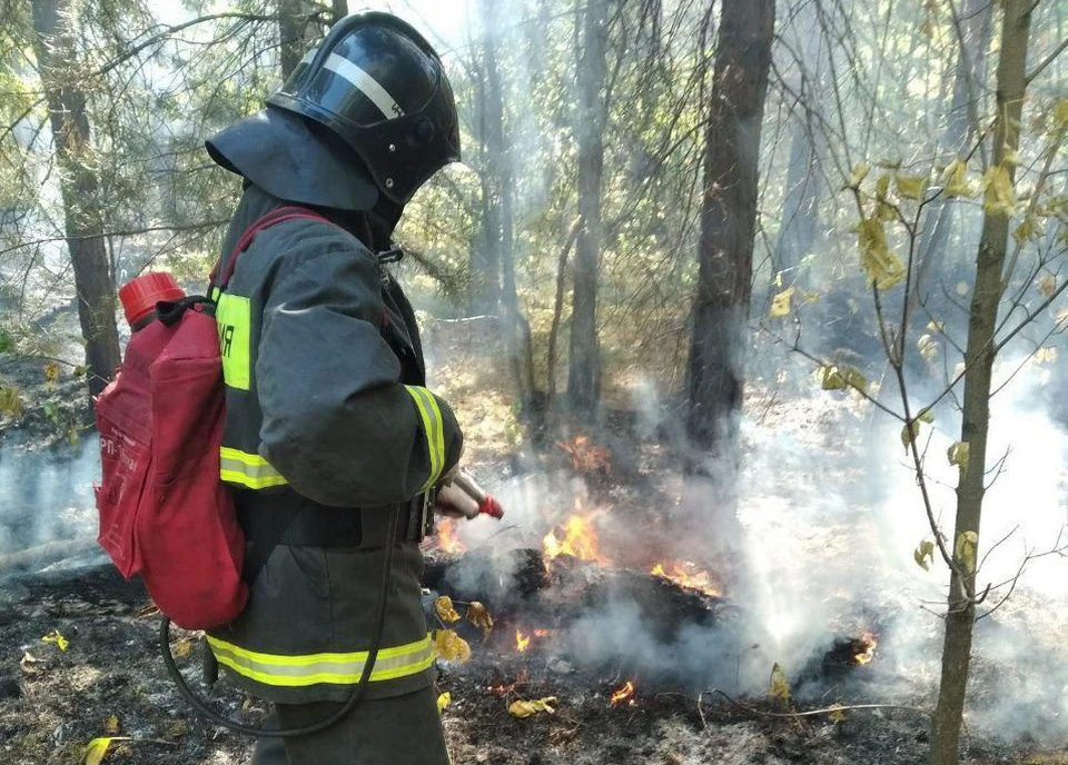 В Заволжье Ульяновска в районе СНТ «Якорь» 4 сентября сгорел лес | ФОТО: Управление гражданской защиты Ульяновска