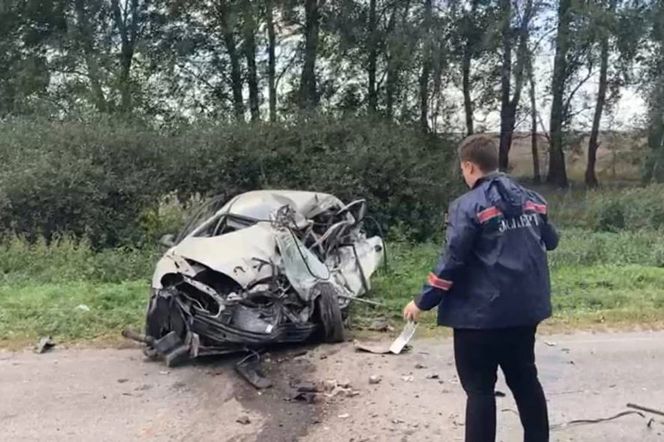Женщина-водитель и ее 7-летний пассажир погибли в ДТП под Рязанью. Фото: ГИБДД по Рязанской области.