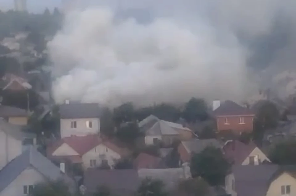 скриншот из видео в соцсетях