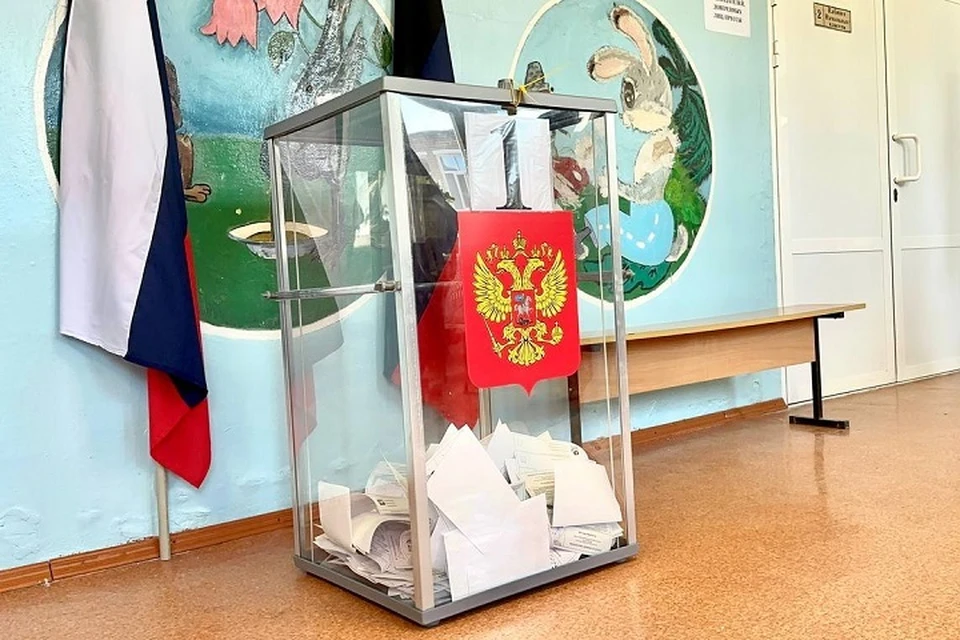 Выборы в ДНР прошли успешно, фактов нарушения избирательного права не зафиксировано