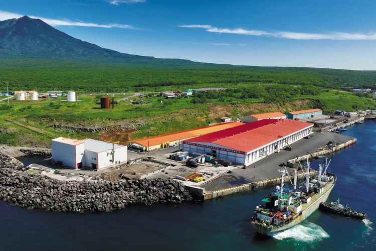 Компания «Гидрострой» построит крупный комплекс по переработке рыбы в Корсаковском морском порту