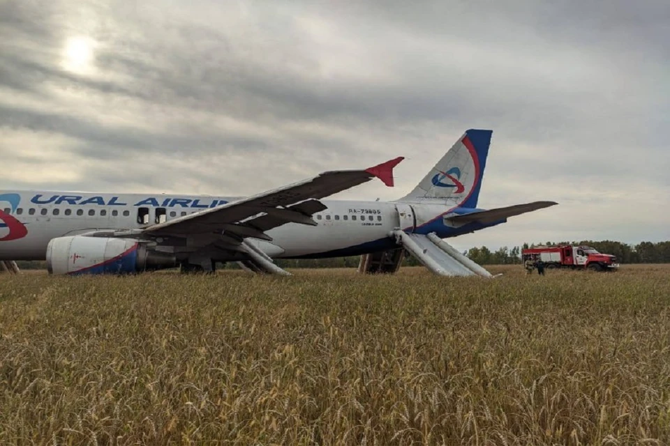 Появилось первое фото самолета, аварийно севшего в поле с пшеницей в НСО. Фото: Западно-Сибирская транспортная прокуратура.