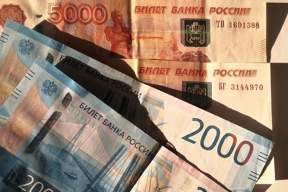 Двум жительницам Липецкой области грозит статья за мошенничество