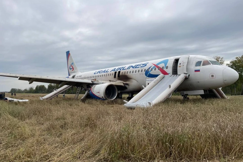 Пилот разобрал аварийную посадку самолета в поле под Новосибирском.