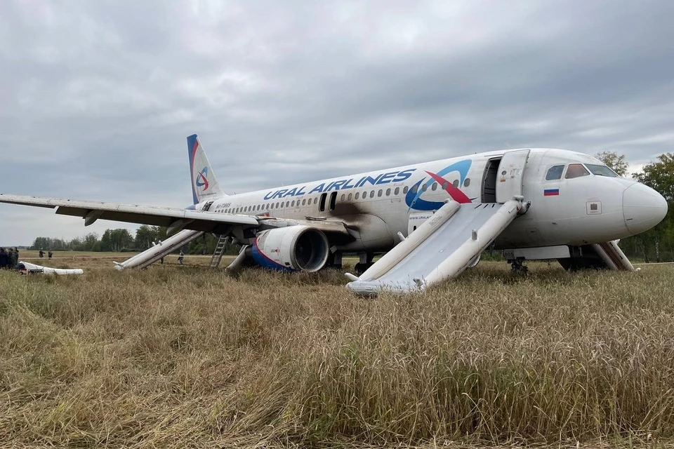 Собрали последние новости об экстренной посадке самолета в поле под Новосибирском.