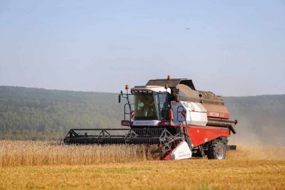 Запорожские аграрии обеспечили зерном мукомольные предприятия региона в полном объеме