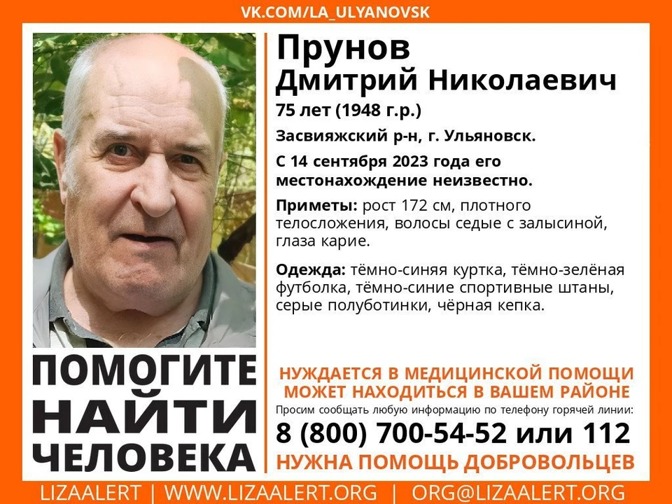 Пенсионера, пропавшего в Ульяновске, ищут с 14 сентября. Фото "Лиза Алерт"