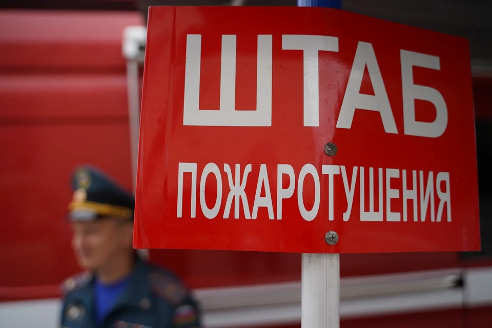 С начала 2023 года в Ульяновске произошло 1037 пожаров