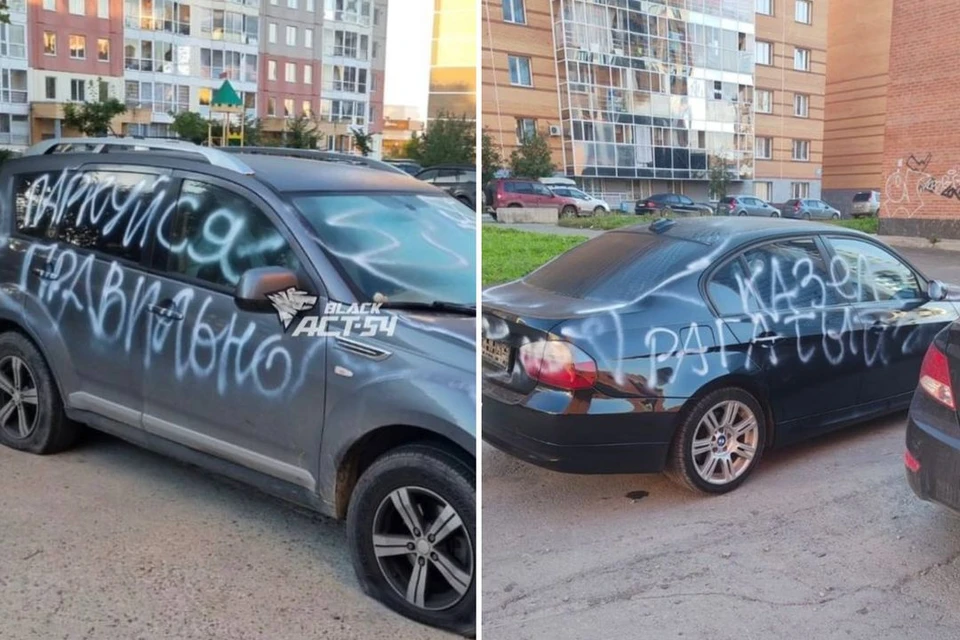 В Новосибирске вандалы расписали оскорблениями два автомобиля. Фото: группа «АСТ-54»
