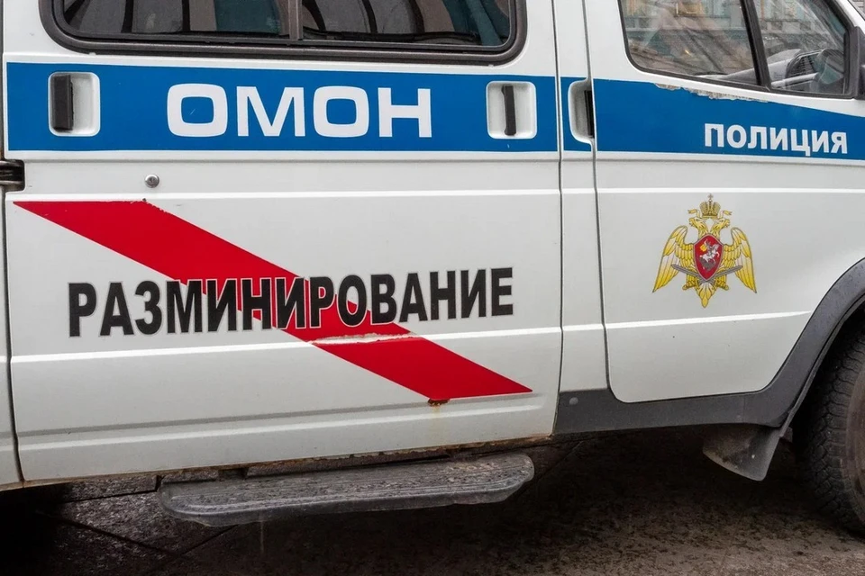 Школы Петербурга проверяли на наличие бомб из-за сообщений от лжеминеров.