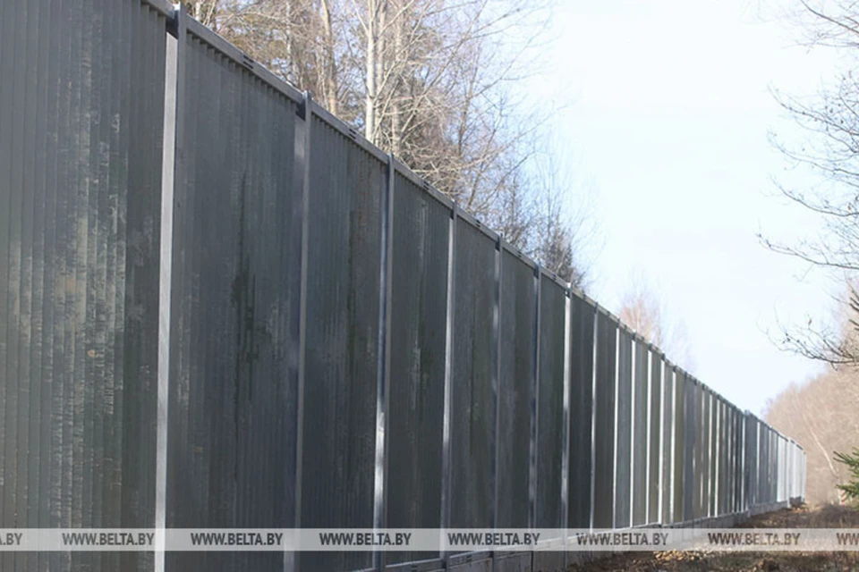Литва собирается поставить забор на болотистом участке границы с Беларусью. Снимок используется в качестве иллюстрации. Фото: БелТА