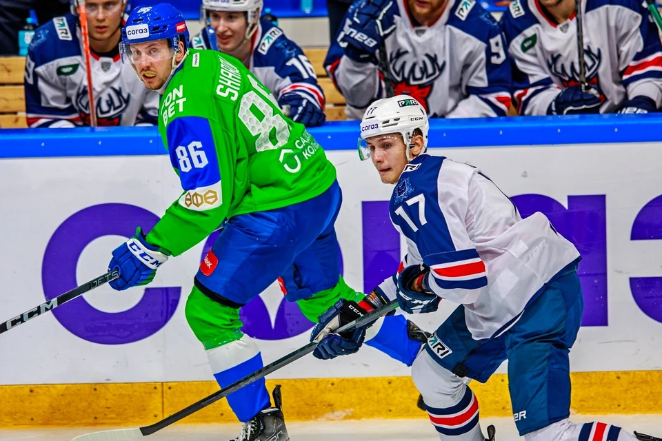 Фото: vk.com/hcsalavat