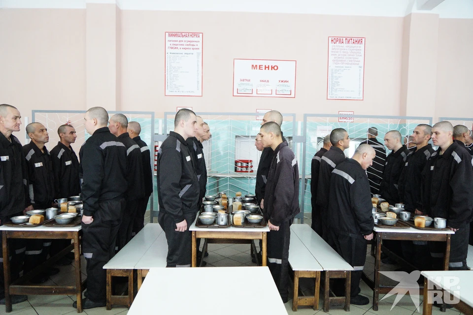 Ходатайство о помиловании в Рязанской области с 2022 года подал 31 осужденный.