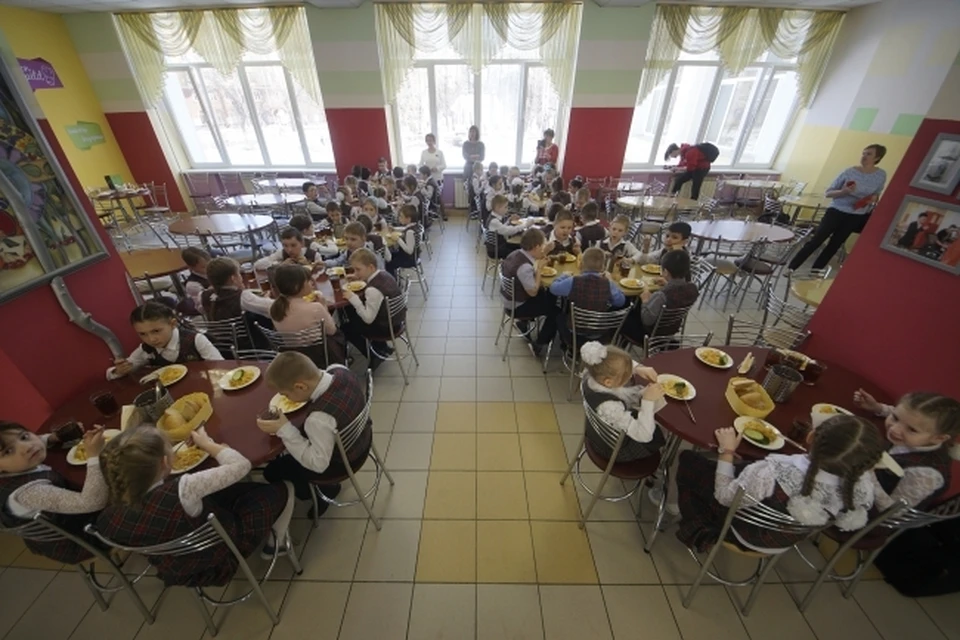 Родители екатеринбургских школьников могут получить скидку на школьное питание