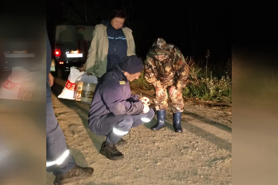 Женщину нашли ночью в лесу. Фото: поисково-спасательная служба Челябинской области