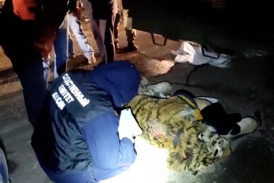 Мужчины нашли мертвого тигра в тайге района имени Лазо
