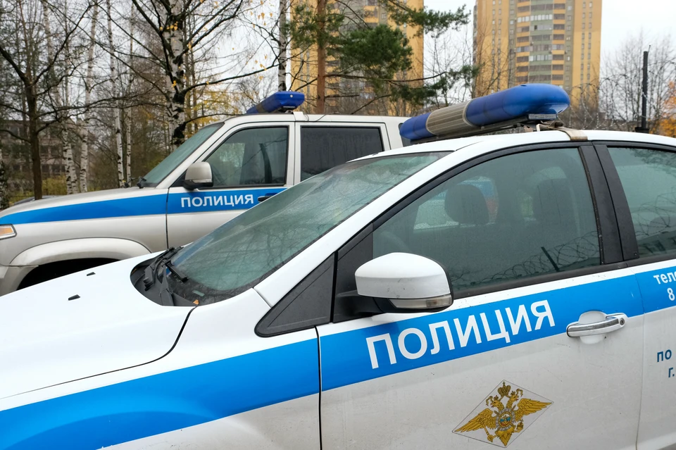 Оперативники задержали трех жителей Ленобласти из-за подозрений в автоугоне.
