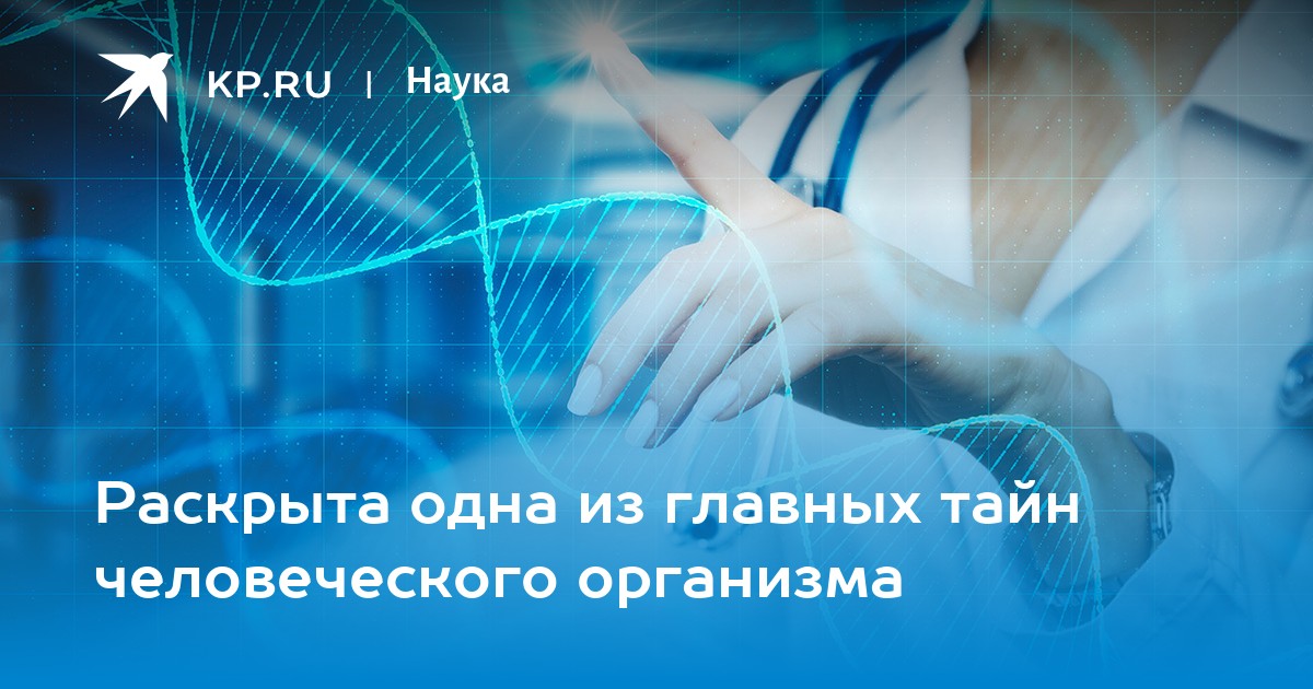 Раскрыта одна из главных тайн человеческого организма