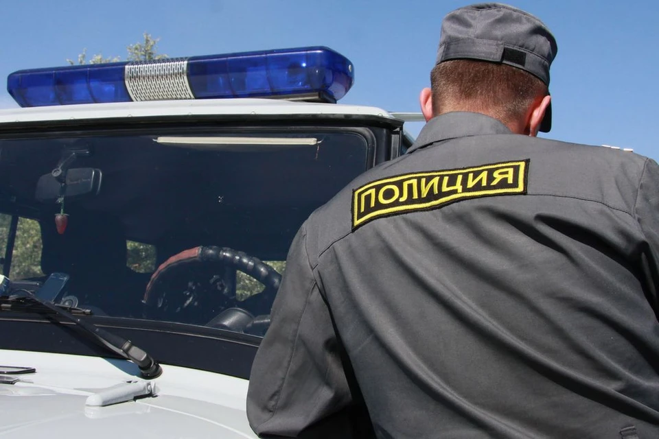 В Новосибирске хоккейный болельщик ударил полицейского на «Сибирь-Арене».