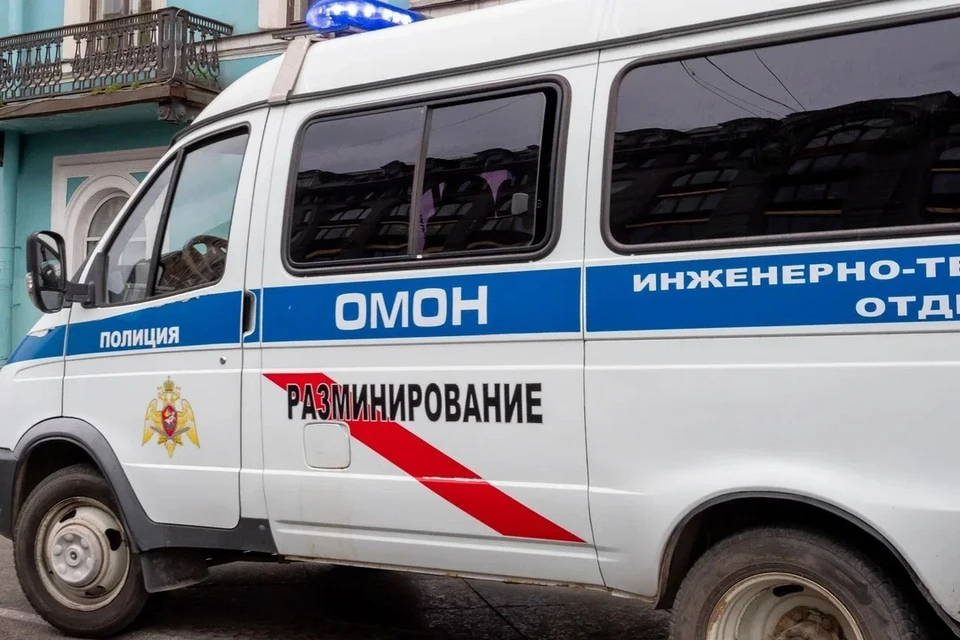 В семи школах Петербурга искали бомбы 26 сентября.
