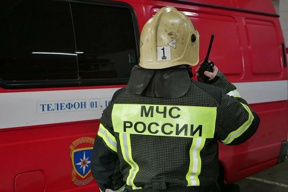 Спасатели ДНР за сутки ликвидировали 68 пожаров (архивное фото)
