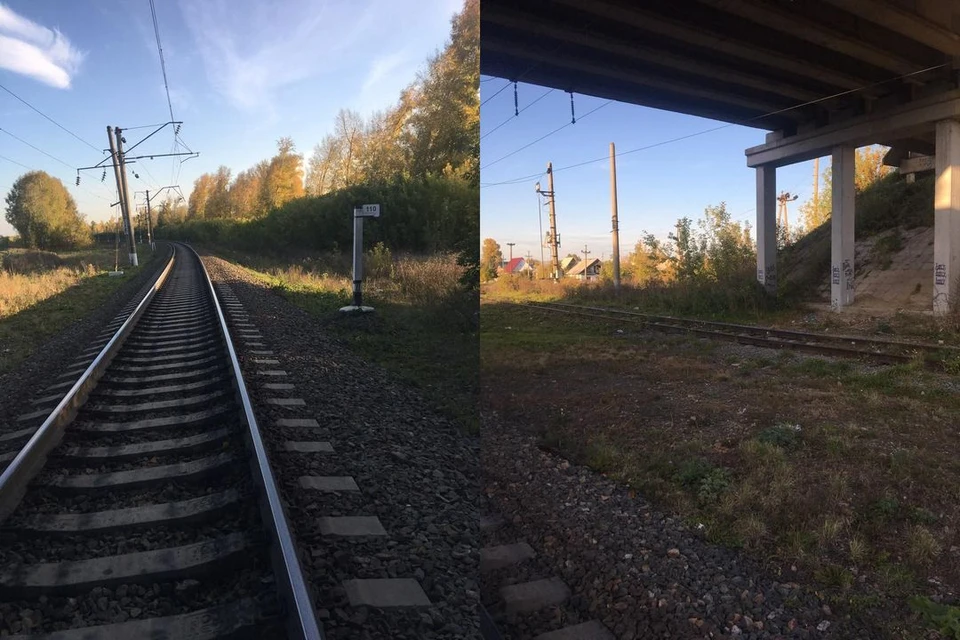 В Новосибирской области поезд сбил 18-летнюю девушку. Фото: УТ МВД по СФО