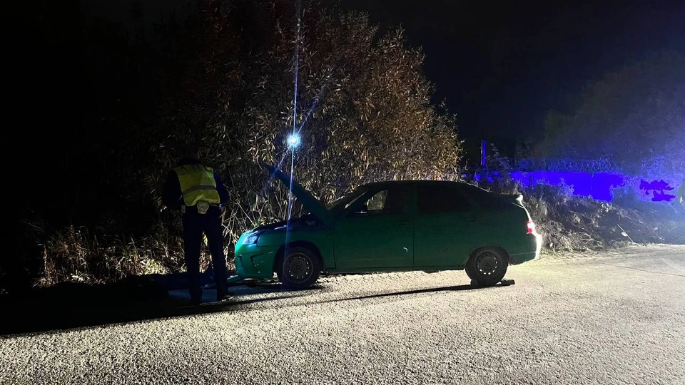49 - летний мужчина скончался на месте ДТП до приезда скорой медицинской помощи. Фото: отделение пропаганды Госавтоинспекции Екатеринбурга