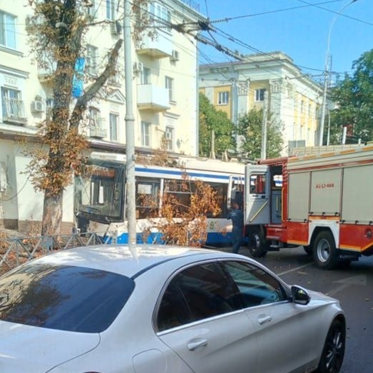 В центре Краснодара троллейбус врезался в дерево - KP.RU