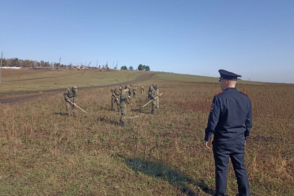 Поле с наркосодержащими растениями уничтожили полицейские в Иркутском районе