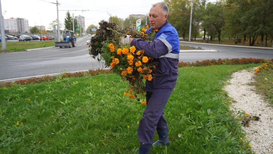 Городская клумба Оренбург