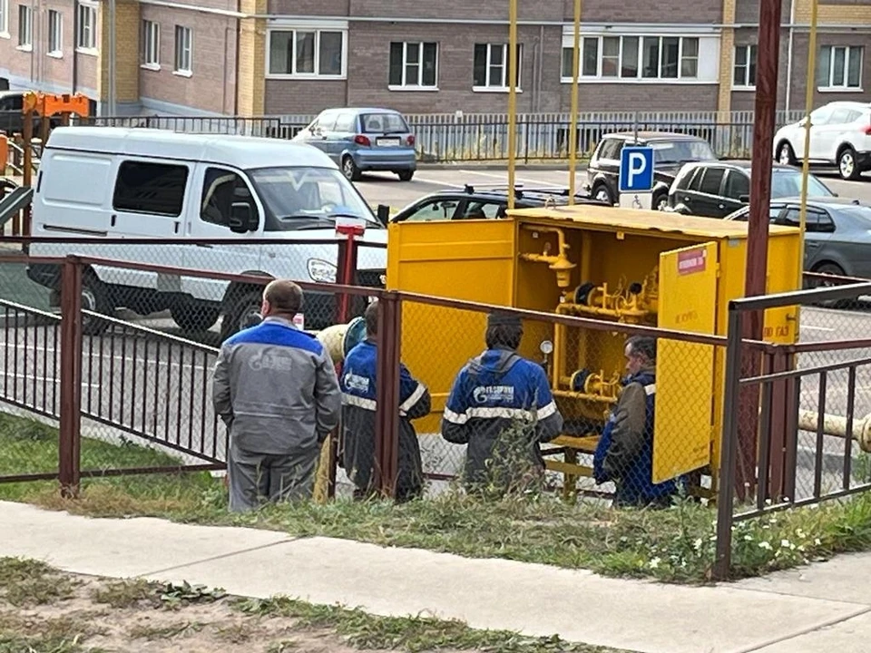 Фото: пресс-служба администрации города Костромы