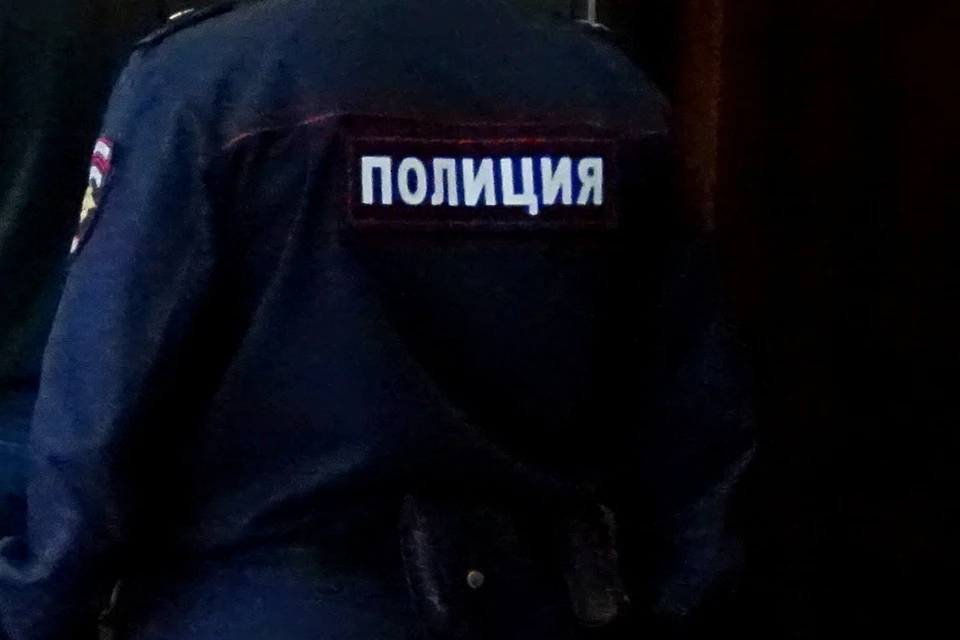 До 5 лет тюрьмы грозит жительнице Липецка за кражу сотового телефона из такси