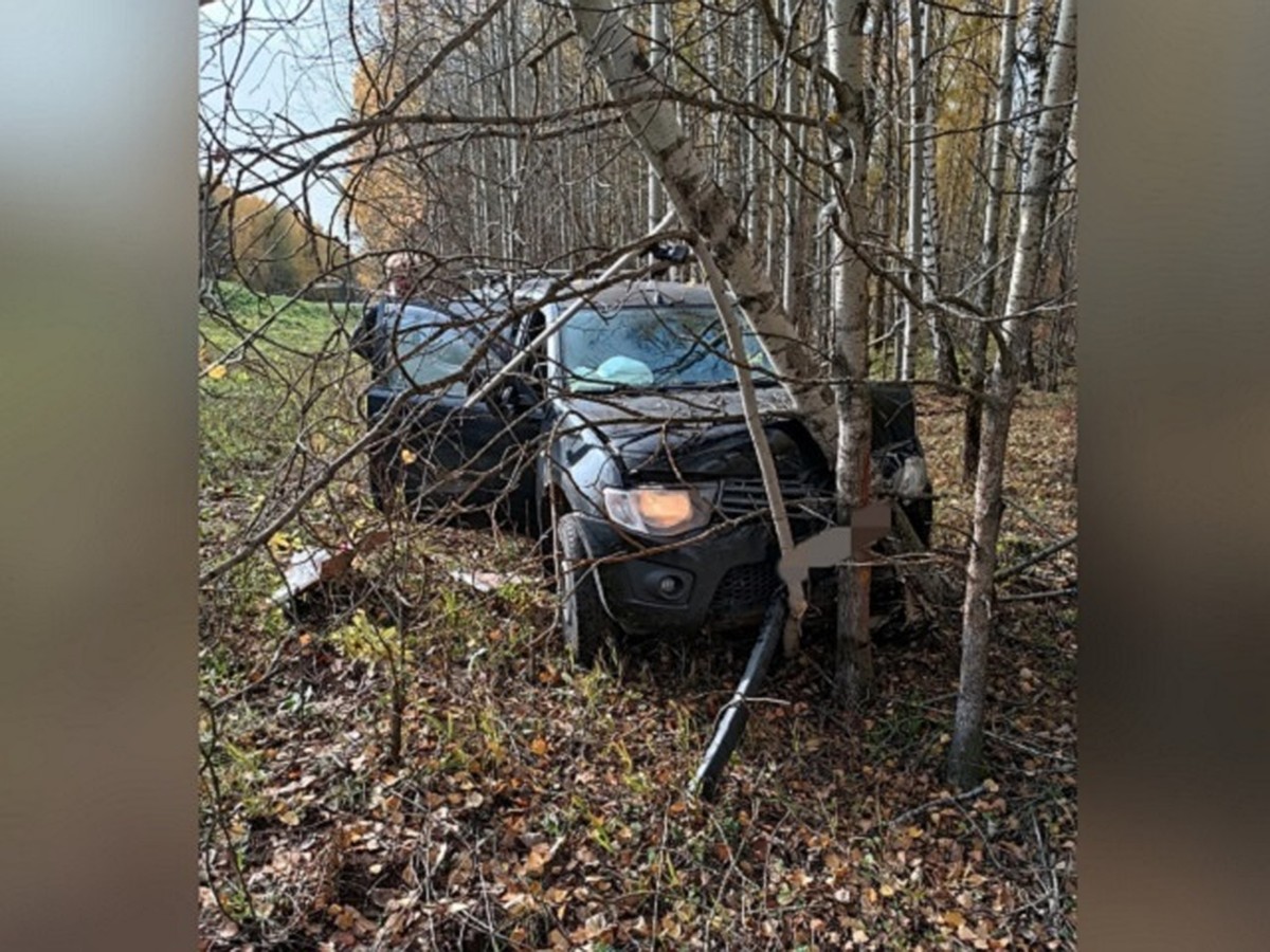 В Пермском крае автомобиль съехал с дороги в кювет и врезался в деревья -  KP.RU