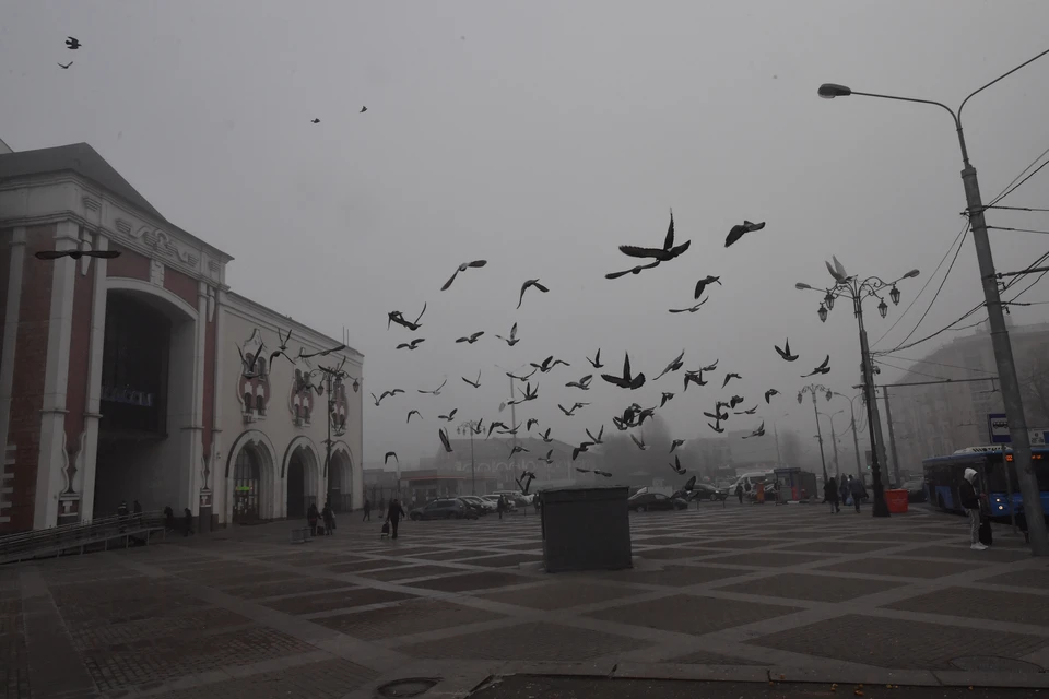 В пятницу местами в Ростовской области возможен туман.