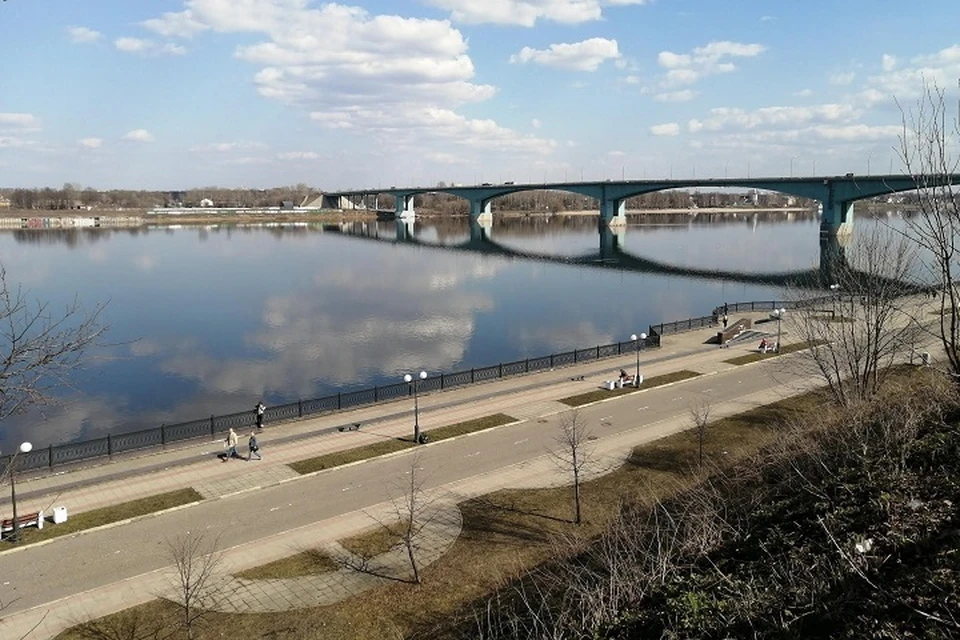 В Ярославской области планируют создать флот.