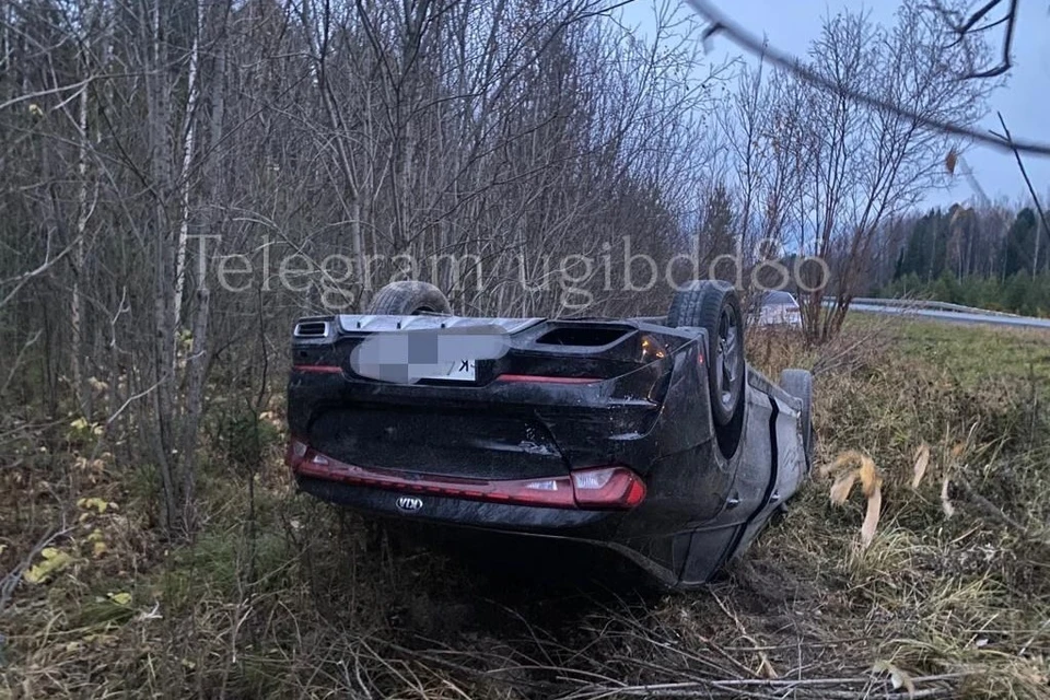 Фото: УГИБДД России по ХМАО-Югре