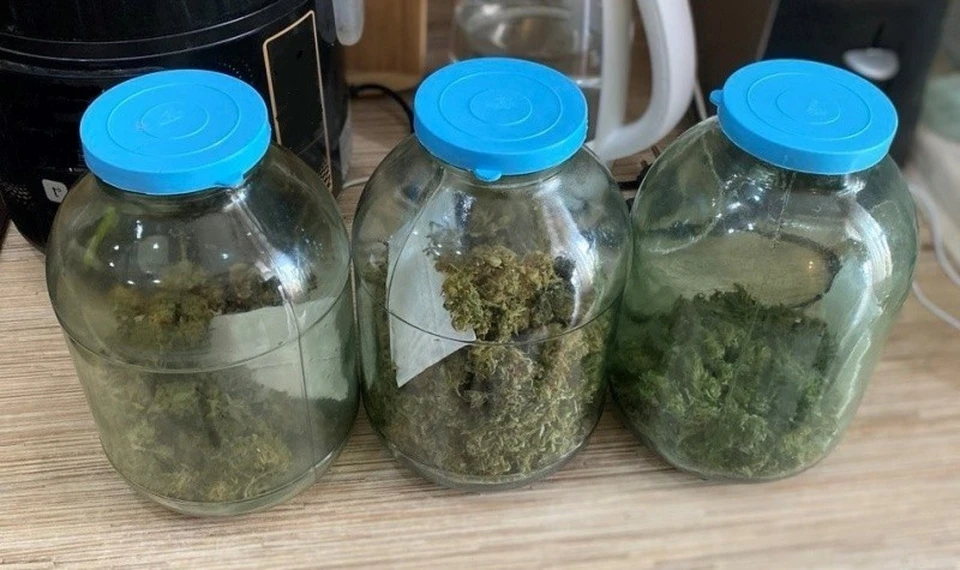 Обнаруженное растение