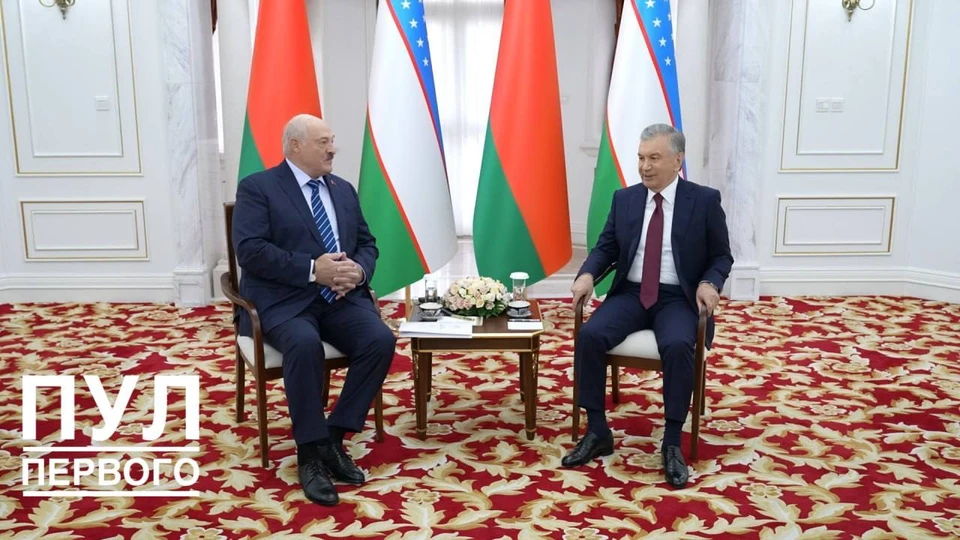 Час длилась встреча Лукашенко и Мерзиеева в Кыргызстане. Фото: телеграм-канал «Пул Первого»