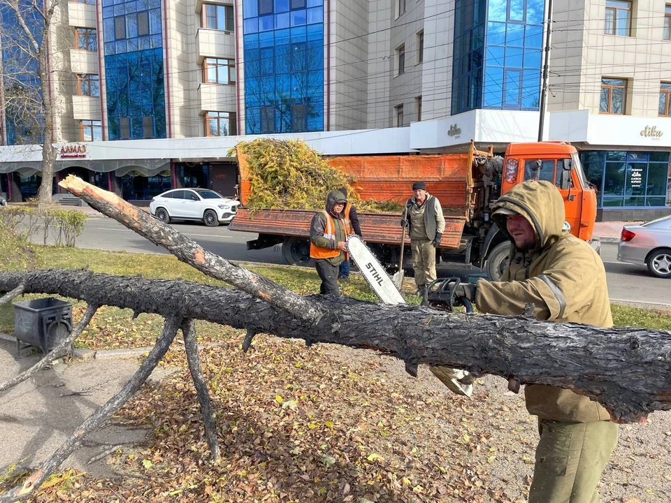 В Иркутске из-за бушующего ветра повалило 9 деревьев и сорвало светофор