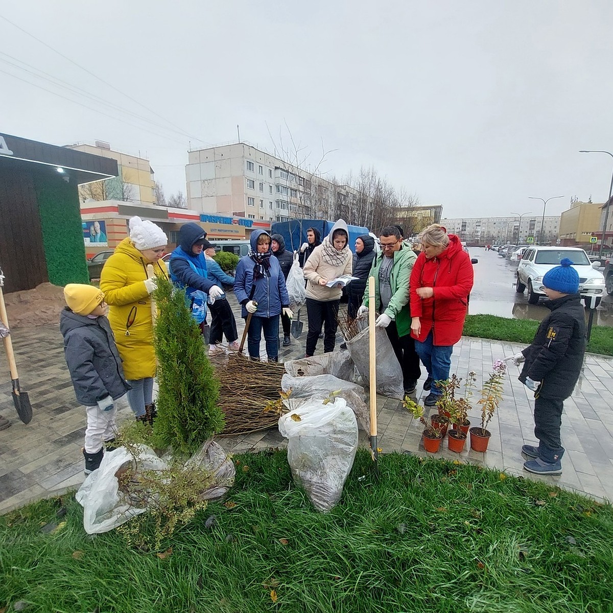 Территорию возле ноябрьского ЭкоДома украсили ели, сирень, рябина и туя -  KP.RU