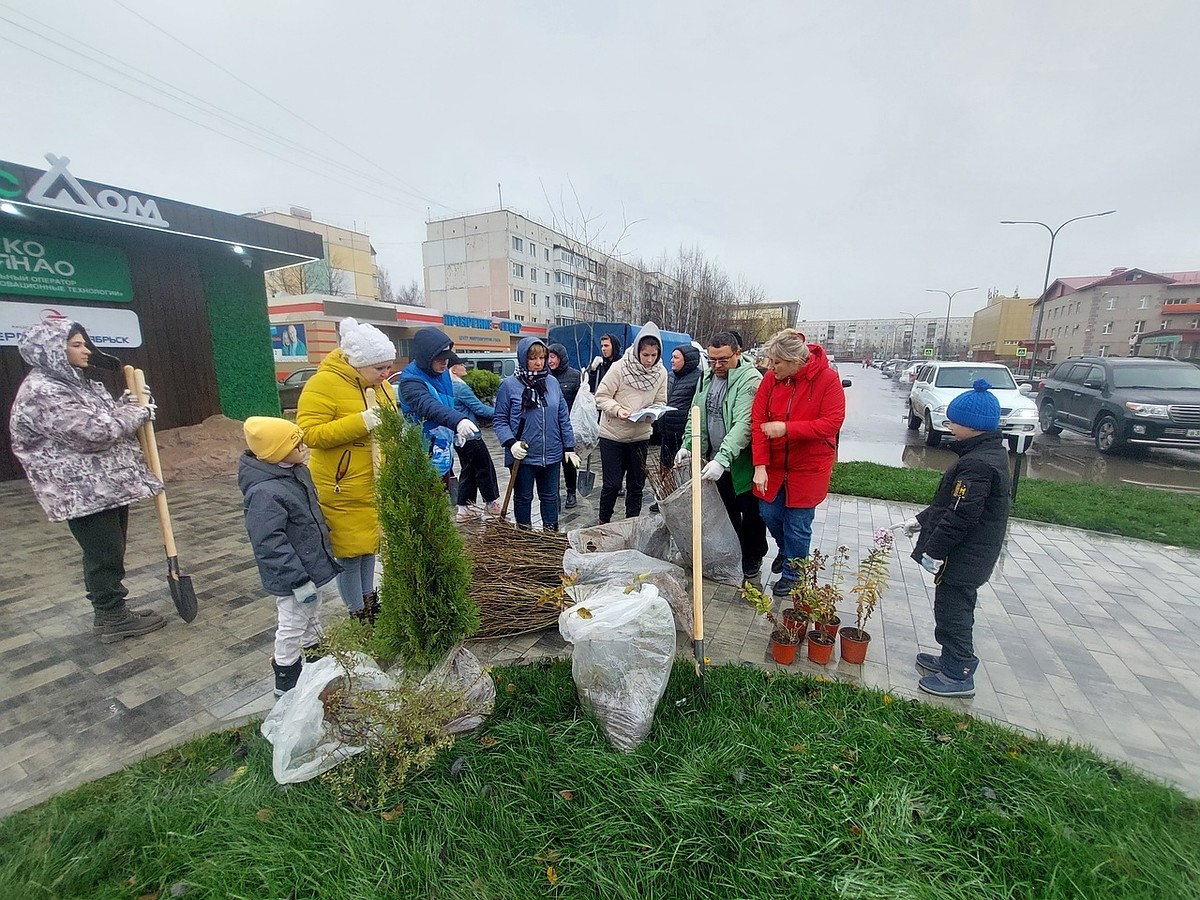 Территорию возле ноябрьского ЭкоДома украсили ели, сирень, рябина и туя -  KP.RU