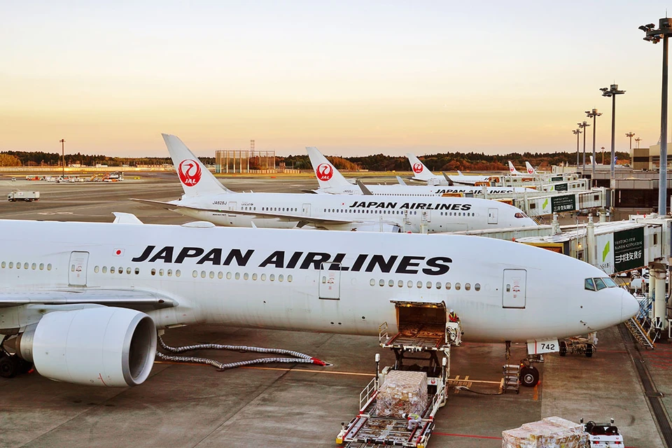 В Japan Airlines срочно добавили еще один борт для 27 спортсменов