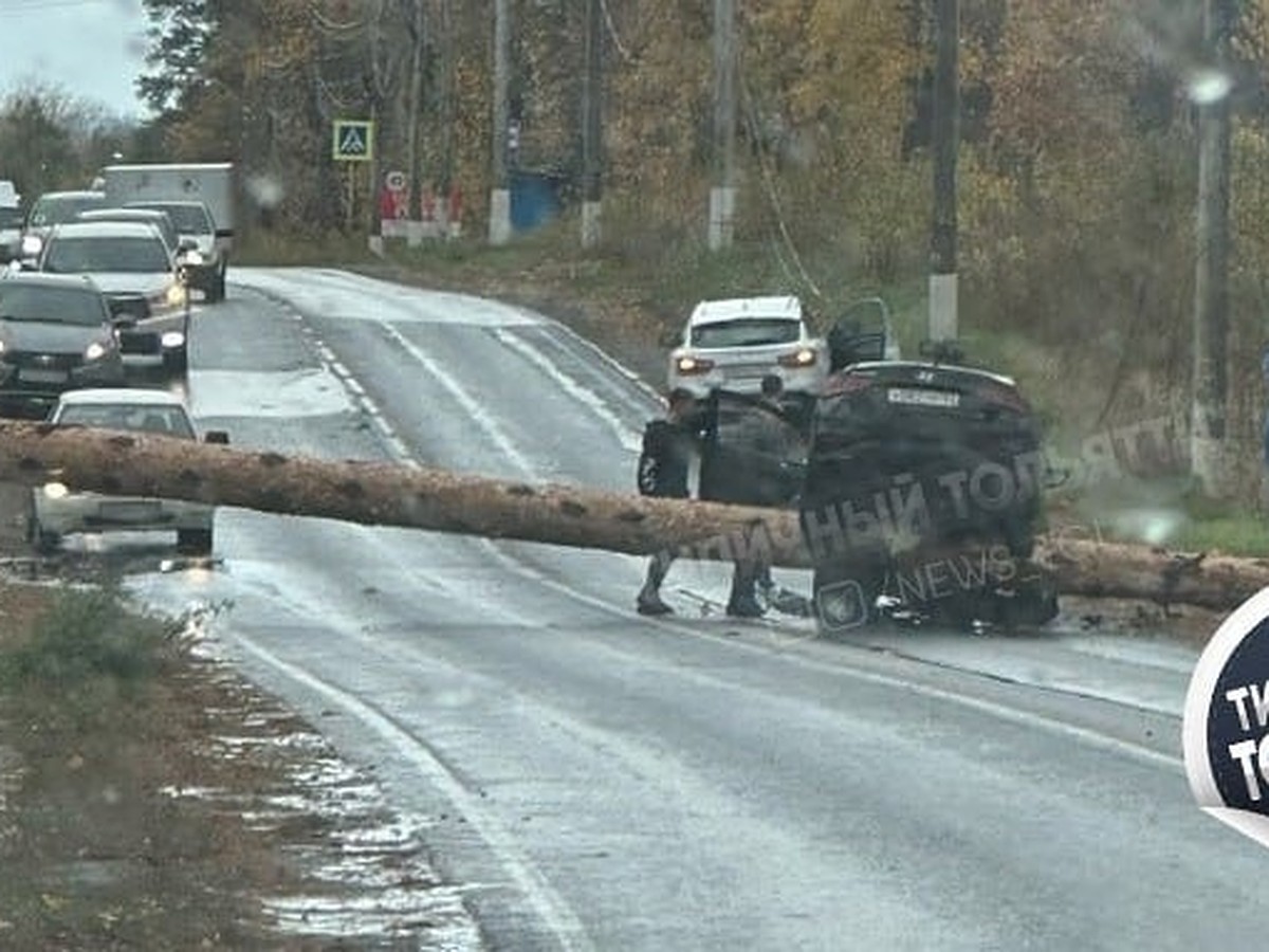 В Тольятти легковушка оседлала упавшую на дорогу сосну - KP.RU