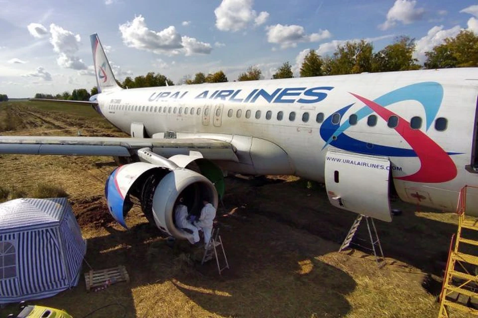Удачное приземление самолета на пшеничное поле произошло 12 сентября Фото: «Уральские авиалинии»