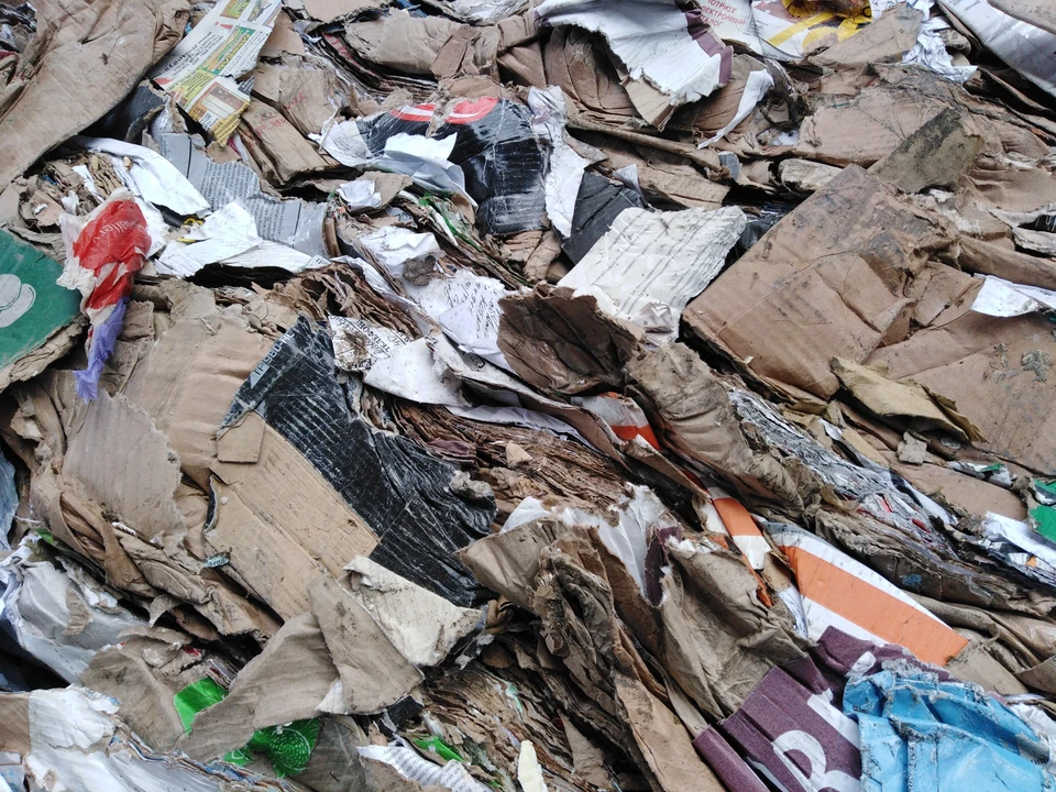 Главы трех сел в Белгородской области выплатят штрафы за стихийные свалки.