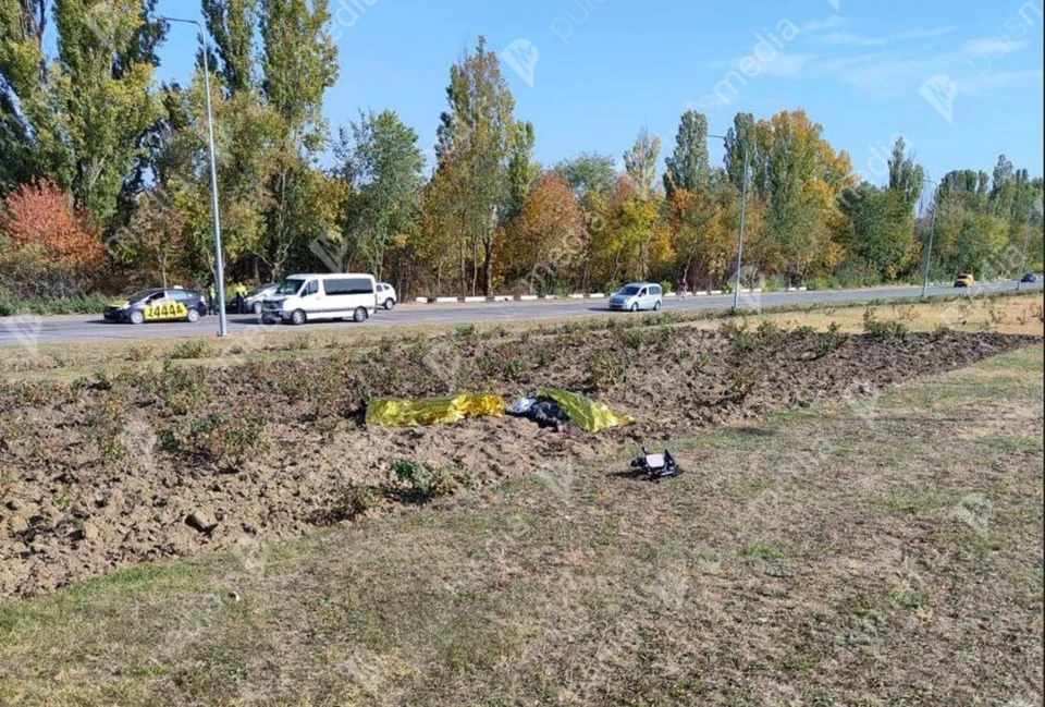 Фото: пресс-служба