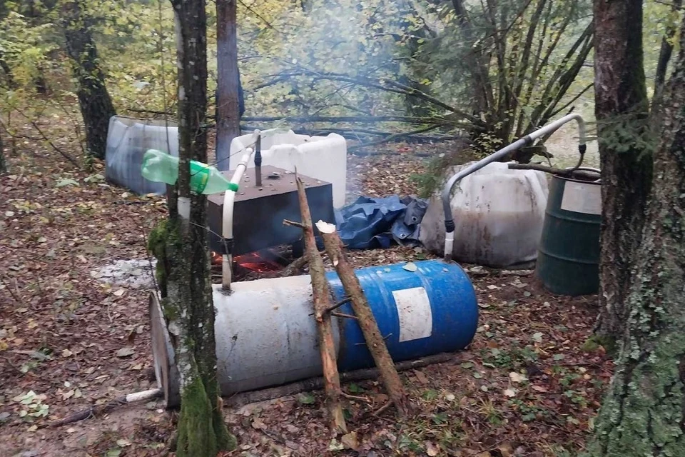 Самогонщика задержали в лесу в Щучинском районе. Фото: УВД Гродненского облисполкома.