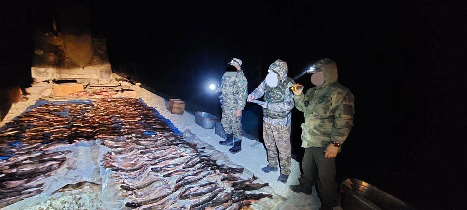 За месяц борцы с браконьерами выявили 23 нарушения природоохранного законодательства. Фото: ГБУ РС(Я) "ДБР ООПТ и ПП".