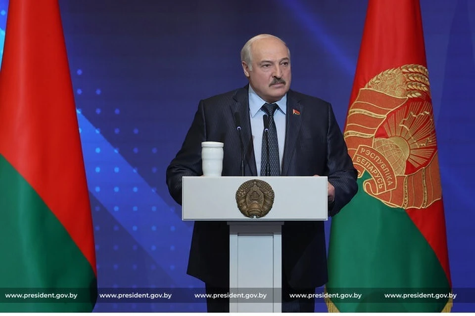 Лукашенко сказал, что Беларусь и Германия обсуждают по отдельным каналам проблемы нелегальной миграции. Фото: архив president.gov.by.
